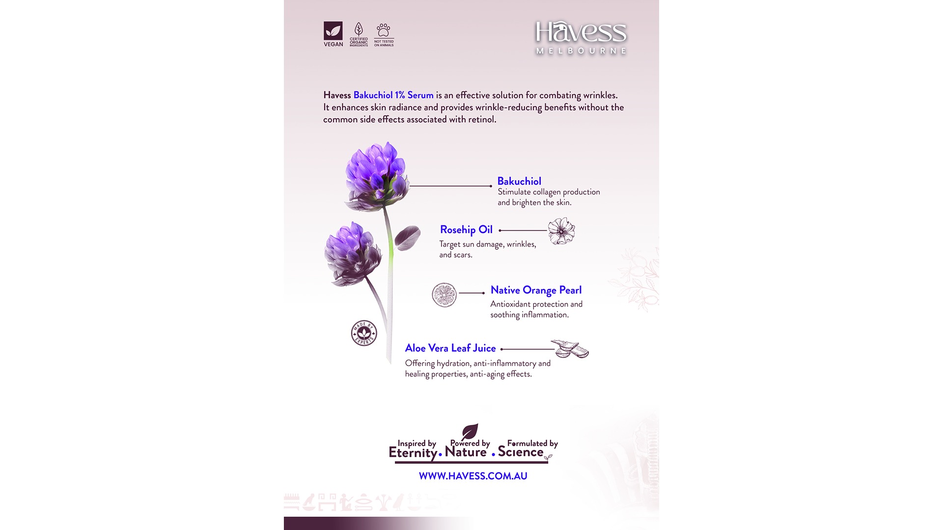 Flyer 3-back Recovered copy